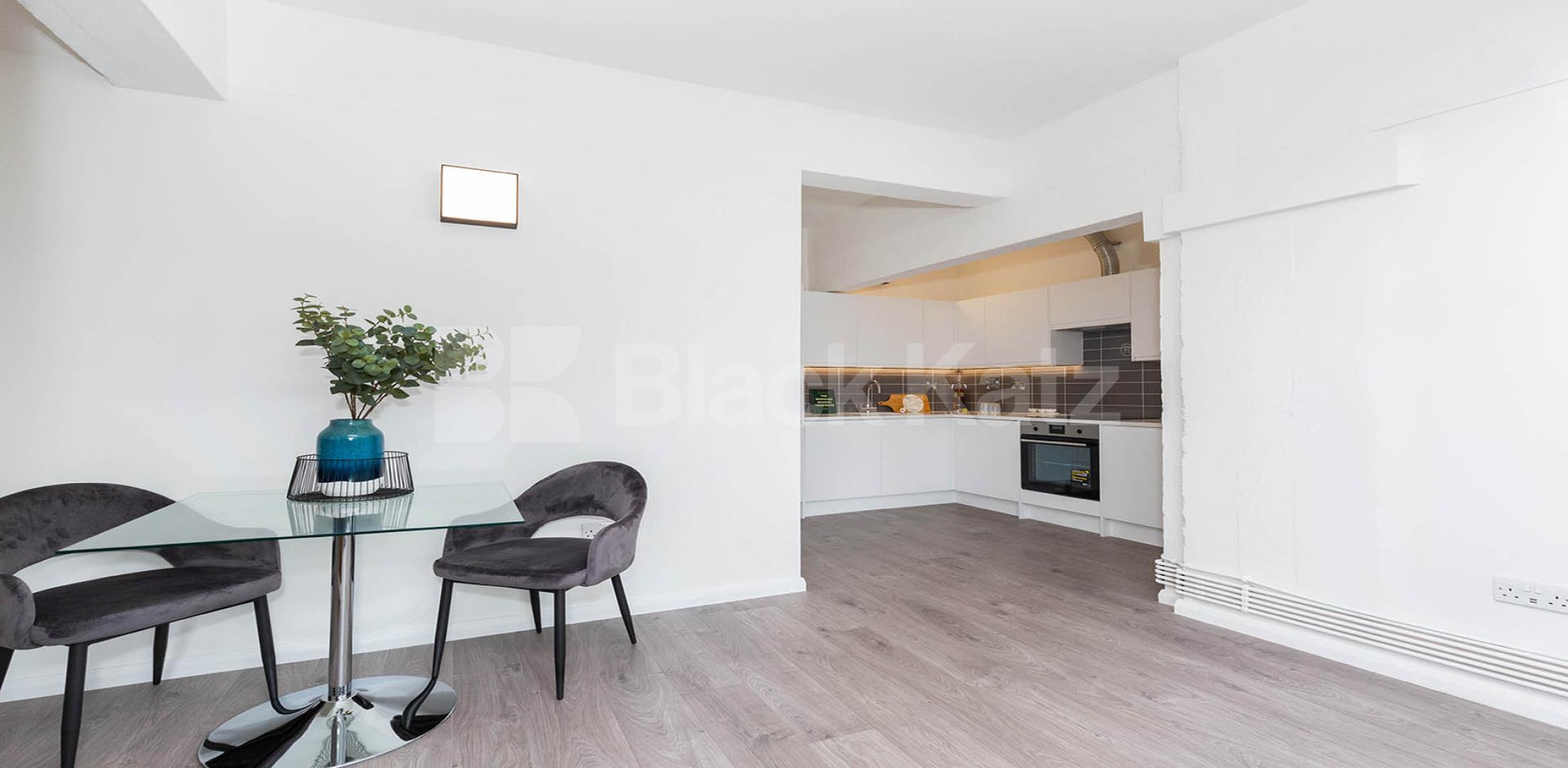 			LARGE STUDIO PROPERTY!, Studio Apartment, 1 bath, 1 reception Apartment			 ABILITY VIEW-KINGSLAND ROAD, DALSTON/HAGGERSTON